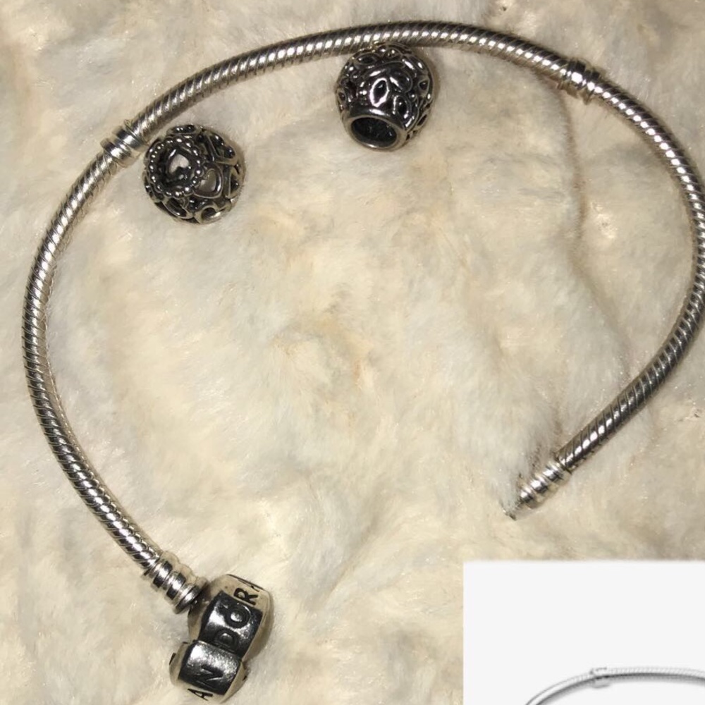 pandora charm bracelet